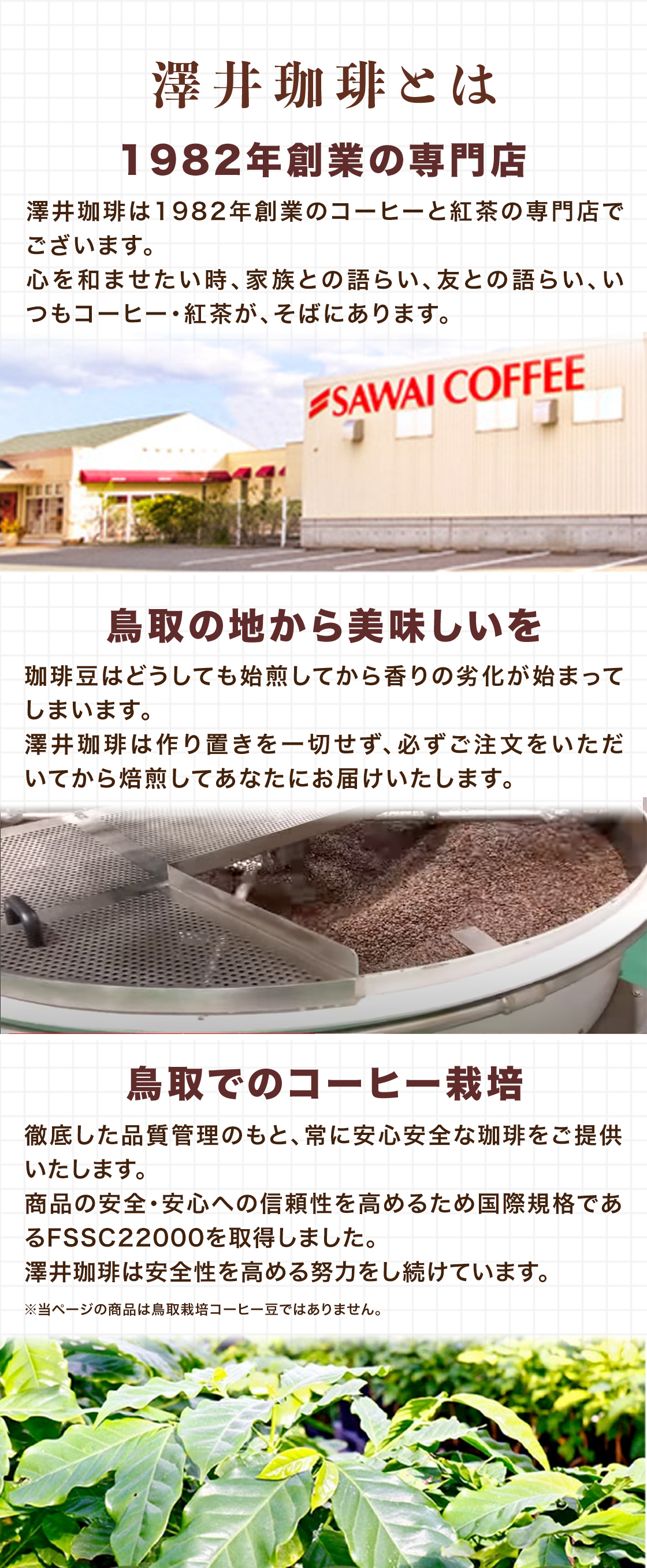 澤井珈琲とは
