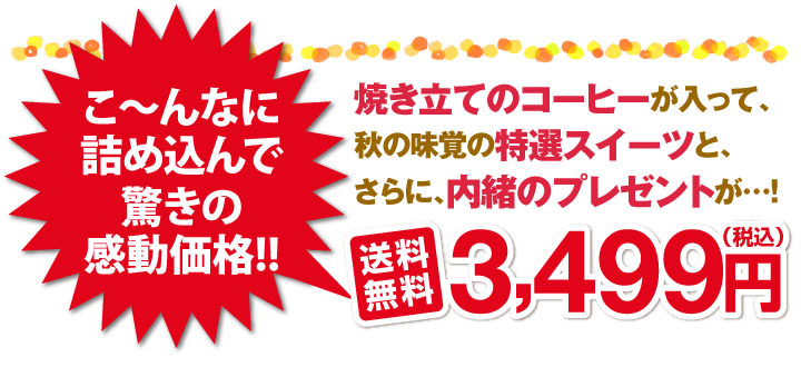 こんなに詰め込んで驚きの感動価格！