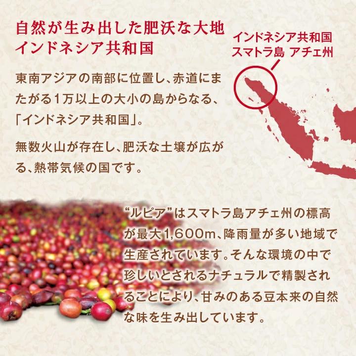 甘くフルーティーな味わい！澤井珈琲ドリップパック ルピア 30袋セット